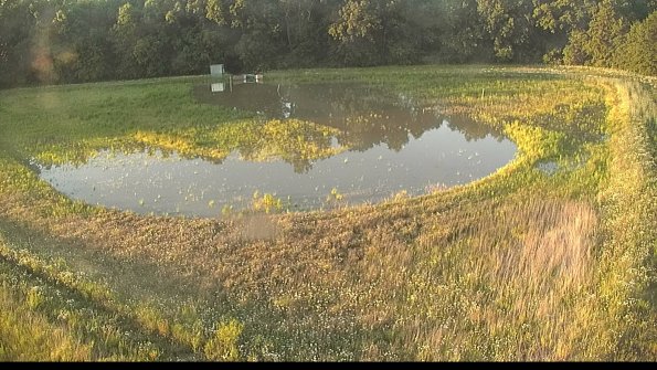 capture-15-22-06-07_20-28-42-67