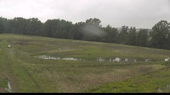 capture-4-22-06-07_07-59-00-24