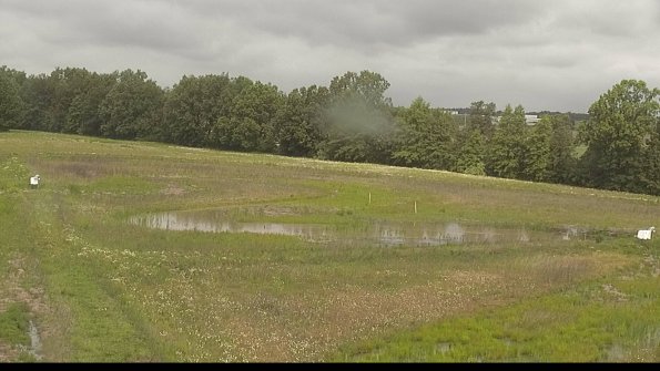 capture-4-22-06-07_10-03-47-83