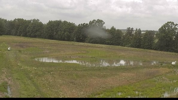 capture-4-22-06-07_12-08-34-12