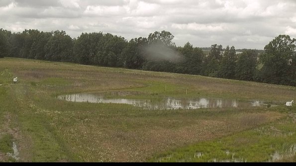 capture-4-22-06-07_13-09-50-98