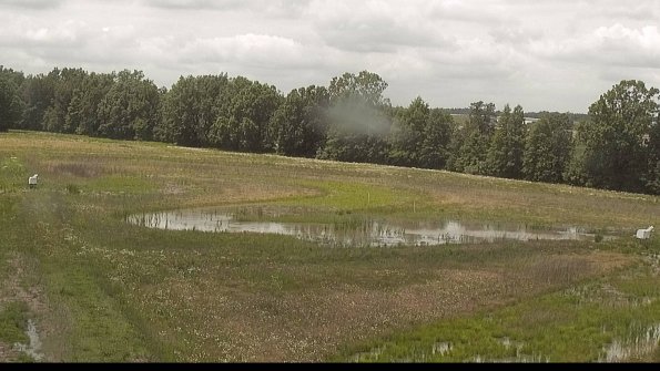 capture-4-22-06-07_14-13-21-31