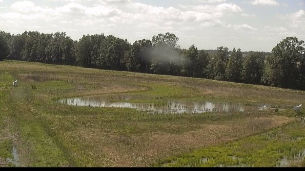 capture-4-22-06-07_16-18-10-44