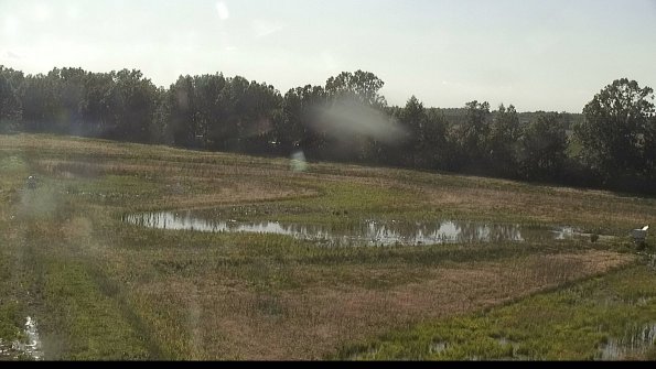 capture-4-22-06-07_18-22-57-43