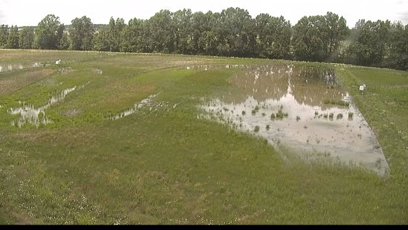 capture-6-22-06-07_14-13-50-34