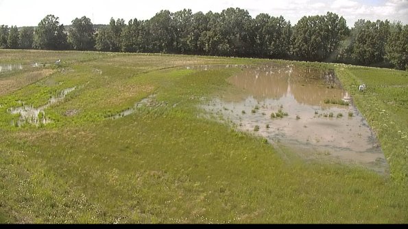 capture-6-22-06-07_16-18-38-50