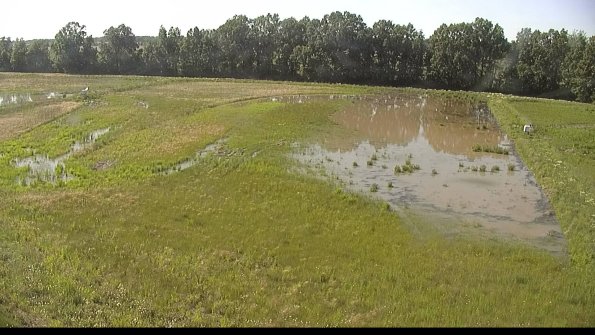 capture-6-22-06-07_17-21-02-42