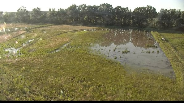 capture-6-22-06-07_19-25-50-38