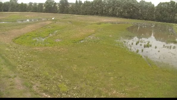 capture-1-22-06-08_14-09-50-31