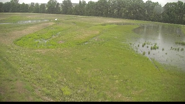 capture-1-22-06-08_17-17-01-32