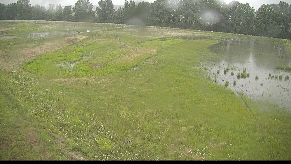 capture-1-22-06-08_18-19-25-15