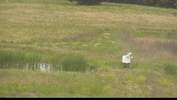 capture-12-22-06-08_16-13-00-20