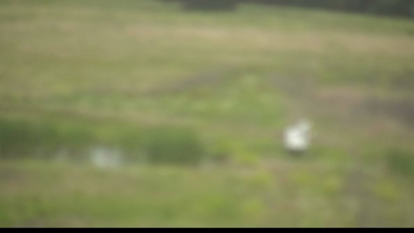 capture-12-22-06-08_17-15-23-76