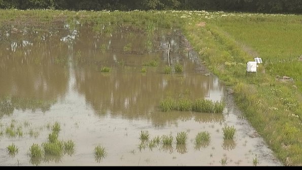 capture-14-22-06-08_09-59-36-32