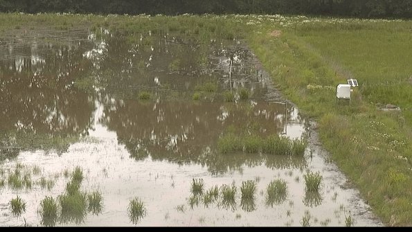 capture-14-22-06-08_15-11-32-33