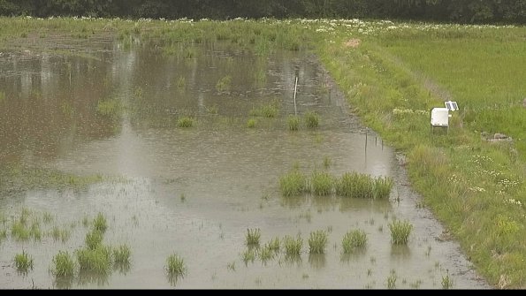 capture-14-22-06-08_16-13-56-29