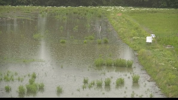 capture-14-22-06-08_17-16-19-58