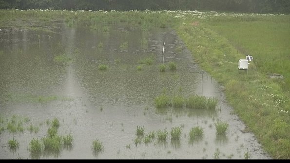 capture-14-22-06-08_18-18-42-31