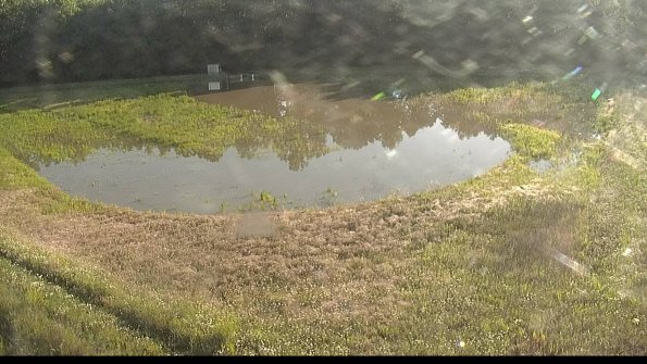 capture-15-22-06-08_07-55-02-35