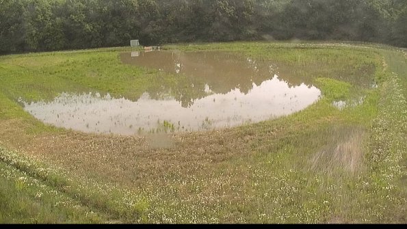 capture-15-22-06-08_09-59-50-34