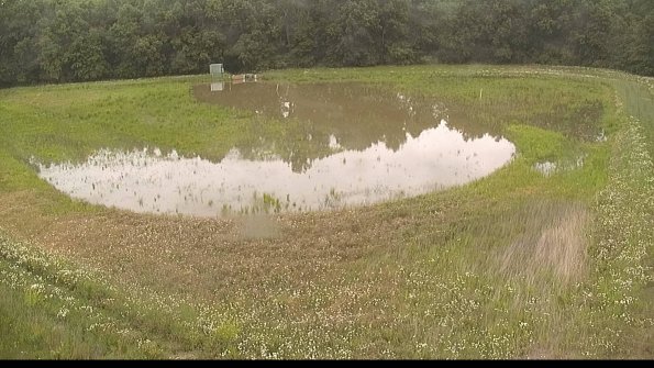 capture-15-22-06-08_11-02-13-30