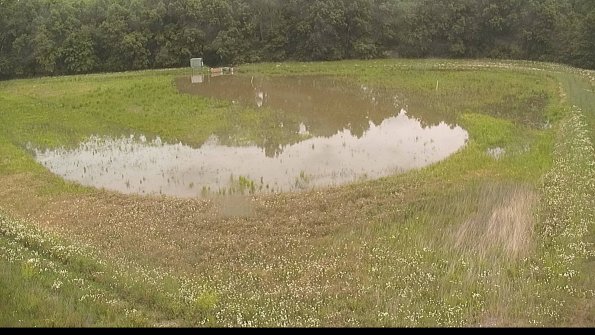 capture-15-22-06-08_12-04-36-39