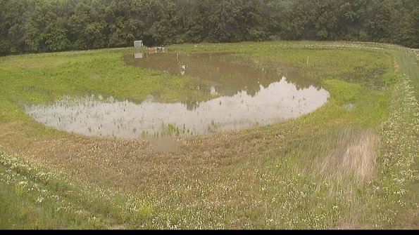 capture-15-22-06-08_14-09-23-31