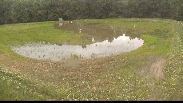 capture-15-22-06-08_15-11-46-54