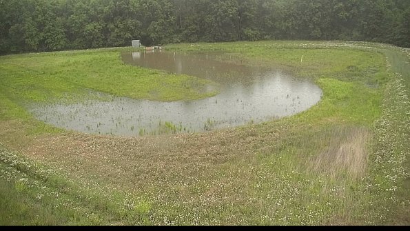 capture-15-22-06-08_17-16-34-26