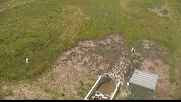 capture-3-22-06-08_13-05-34-37