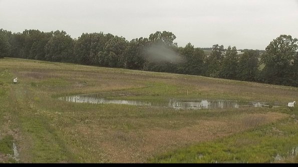 capture-4-22-06-08_11-01-18-17