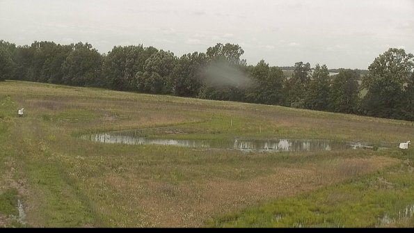 capture-4-22-06-08_12-03-40-36