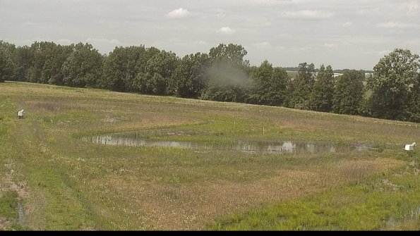 capture-4-22-06-08_13-06-04-23