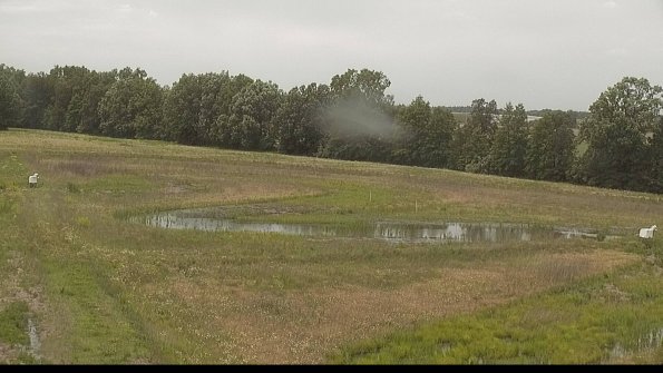 capture-4-22-06-08_14-08-26-39