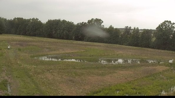 capture-4-22-06-08_15-10-49-32