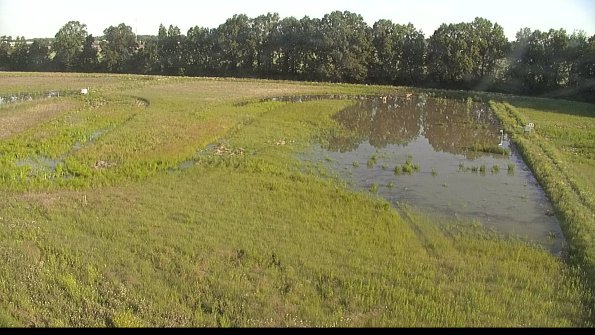 capture-6-22-06-08_07-54-34-35