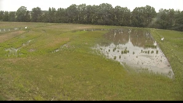 capture-6-22-06-08_11-01-45-53