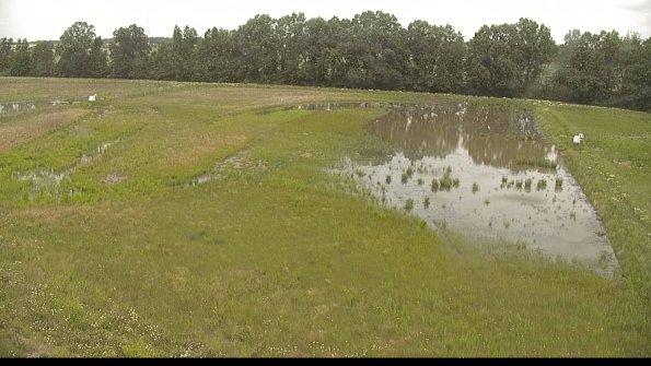 capture-6-22-06-08_12-04-08-53