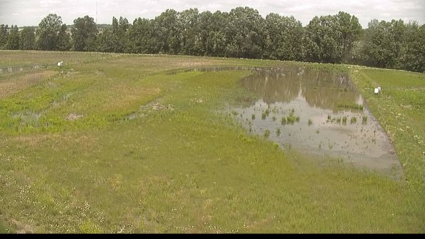 capture-6-22-06-08_13-06-31-56