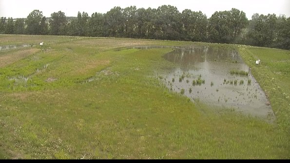 capture-6-22-06-08_16-13-42-31