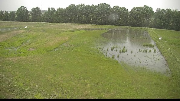 capture-6-22-06-08_17-16-05-60