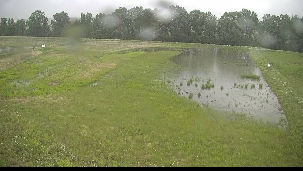 capture-6-22-06-08_18-18-28-53