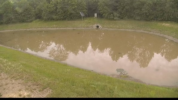 capture-8-22-06-08_12-02-57-19