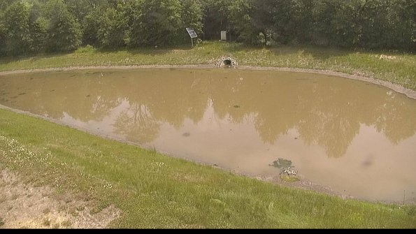 capture-8-22-06-08_13-05-20-18