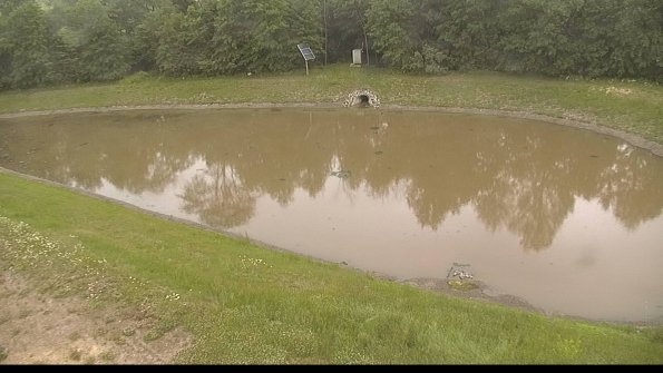 capture-8-22-06-08_16-12-30-17