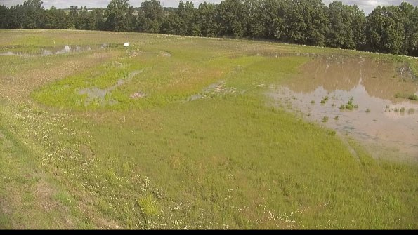 capture-1-22-06-09_09-55-11-19