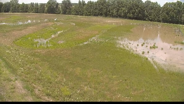 capture-1-22-06-09_14-04-42-43