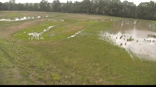 capture-1-22-06-09_16-09-30-29