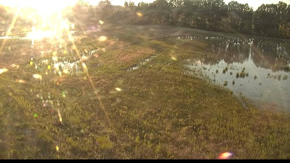 capture-1-22-06-09_20-19-05-50