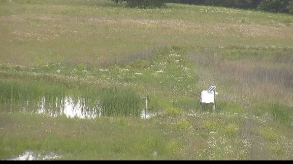 capture-12-22-06-09_09-53-33-16